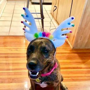 Meet your Posher, Lynda